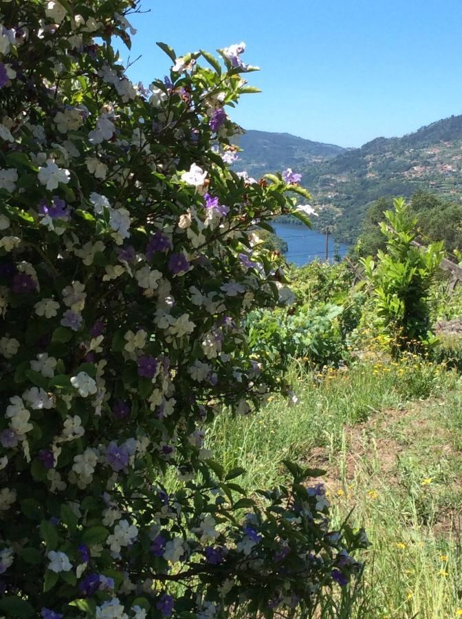Ferienhaus Family Secrets Douro Ribadouro